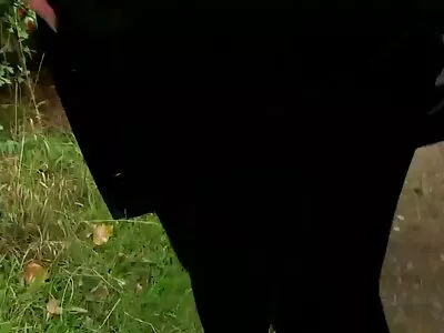 ലിബിഡിനസ് ദിവ ലൈംഗിക സംതൃപ്തി ആഗ്രഹിക്കുന്നു, അത് ഒരു പബ്ബിൽ എത്തുന്നു